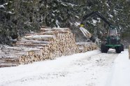 Holzbringung im Winter (mit Forwarder)