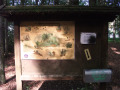 Informationstafel mit bunten Bildern und Erläuterungen zum Waldlehrpfad