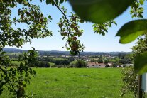 Zweige von Obstbäumen vor Landschaft