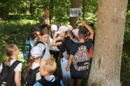Eine Schulklasse hört einem Forstpaten zu, der etwas über Tiere im Wald erzählt.