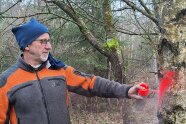 Heinrich Schütz markiert mit Sprühfarbe einen Baum