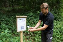 Mann scannt QR-Code an einer Tafel im Wald