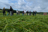 Im Vordergrund liegt gemähtes Gras, im Hintergrund stehen Landwirte im Gespräch und eine Maschine.