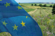 Europa-Flagge, dahinter Blühstreifen, Felder und Wiesen