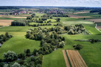 Grünland und Felder, dazwischen Bach mit Uferböschungen 